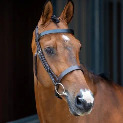 SHIRES EQUESTRIAN Velociti Lusso Hunter Caveson Bridle