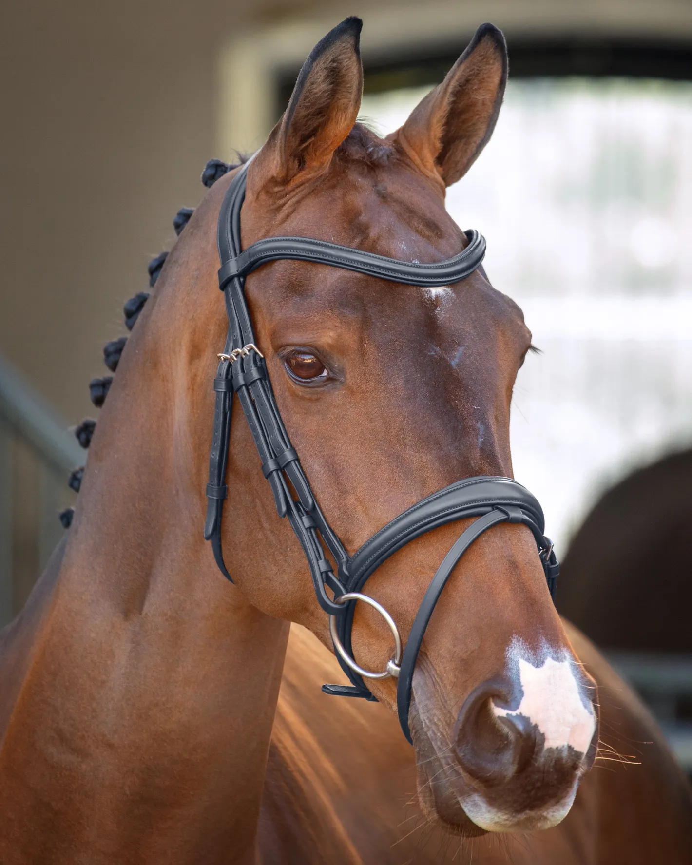 SHIRES EQUESTRIAN Velociti Lusso Padded Raised Flash Bridle