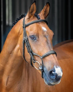 SHIRES EQUESTRIAN Velociti Lusso Rolled Padded Caveson Bridle