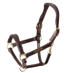 SHIRES EQUESTRIAN Velociti Rapida Cushioned Leather Halter