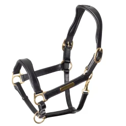 SHIRES EQUESTRIAN Velociti Rapida Cushioned Leather Halter