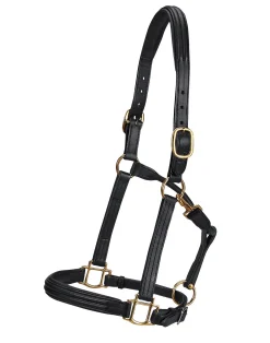 WORLD EQUSTRN BRNDS Vespucci Double Raised Halter