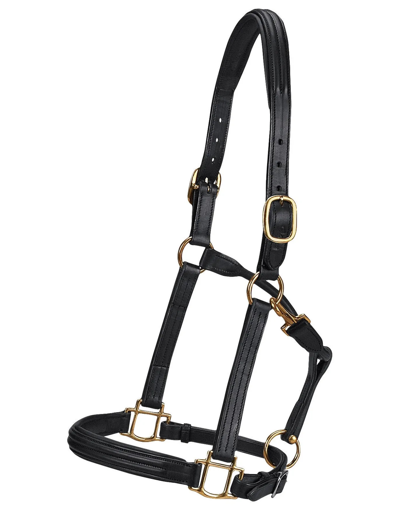 WORLD EQUSTRN BRNDS Vespucci Double Raised Halter