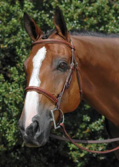 WORLD EQUSTRN BRNDS Vespucci Fancy Raised Hunter Bridle