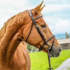 WORLD EQUSTRN BRNDS Vespucci Plain Raised Jump Bridle