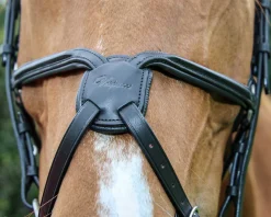 WORLD EQUSTRN BRNDS Vespucci Square Raised Figure-8 Bridle
