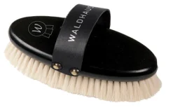 WALDHAUSEN Exklusiv Face Brush