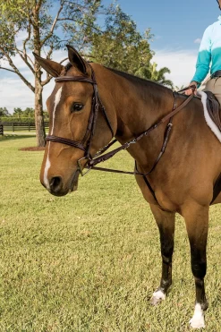 WALSH PRODUCTS Walsh™ German Martingale