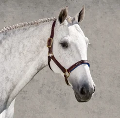 WALSH PRODUCTS Walsh™ Signature Padded Halter