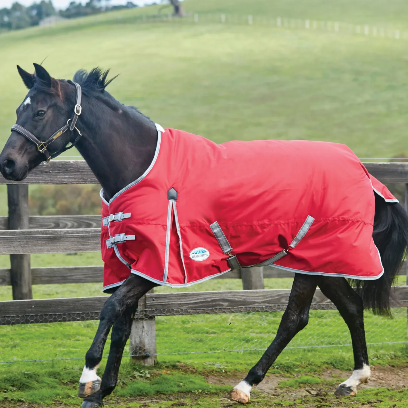 WEATHERBEETA ® ComFiTec™ Classic Standard Neck Lite