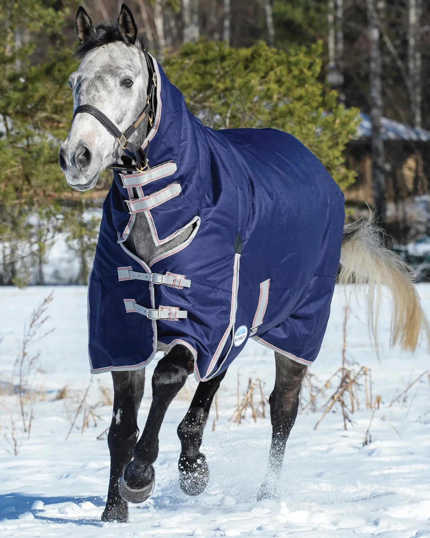 WEATHERBEETA ® ComFiTec™ Essential Combo Neck Medium-Weight Turnout Blanket