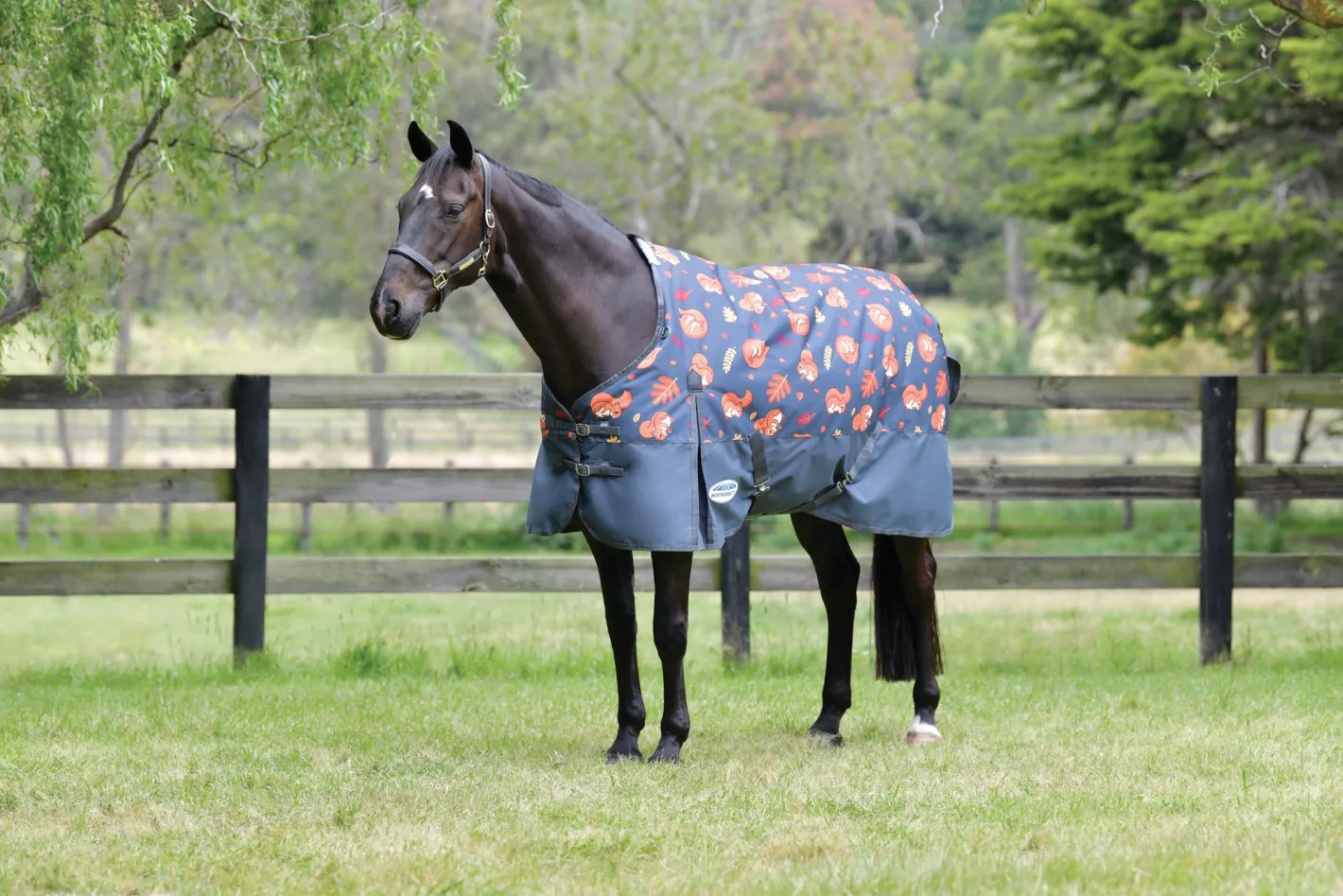 WEATHERBEETA ® ComFiTec™ Essential Standard Neck Medium-Weight Turnout Blanket