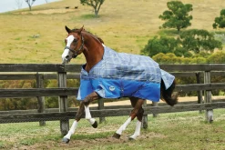 WEATHERBEETA ® ComFiTec™ Free Standard Neck Medium Weight Turnout Blanket