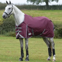 WEATHERBEETA ® ComFiTec™ Plus Dynamic II Standard Neck Medium-Weight Turnout Blanket