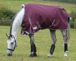 WEATHERBEETA ® ComFiTec™ Plus Dynamic II Standard Neck Medium-Weight Turnout Blanket