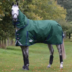 WEATHERBEETA ® ComFiTec™ Plus Dynamic II Detach-A-Neck Heavyweight Turnout Blanket