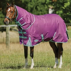 WEATHERBEETA ® Pony ComFiTec™ Premier Free II Detach-A-Neck Medium-Weight Turnout Blanket