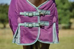 WEATHERBEETA ® Pony ComFiTec™ Premier Free II Detach-A-Neck Medium-Weight Turnout Blanket