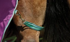 WEATHERBEETA ® Pony ComFiTec™ Premier Free II Detach-A-Neck Medium-Weight Turnout Blanket