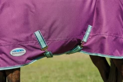 WEATHERBEETA ® Pony ComFiTec™ Premier Free II Detach-A-Neck Medium-Weight Turnout Blanket
