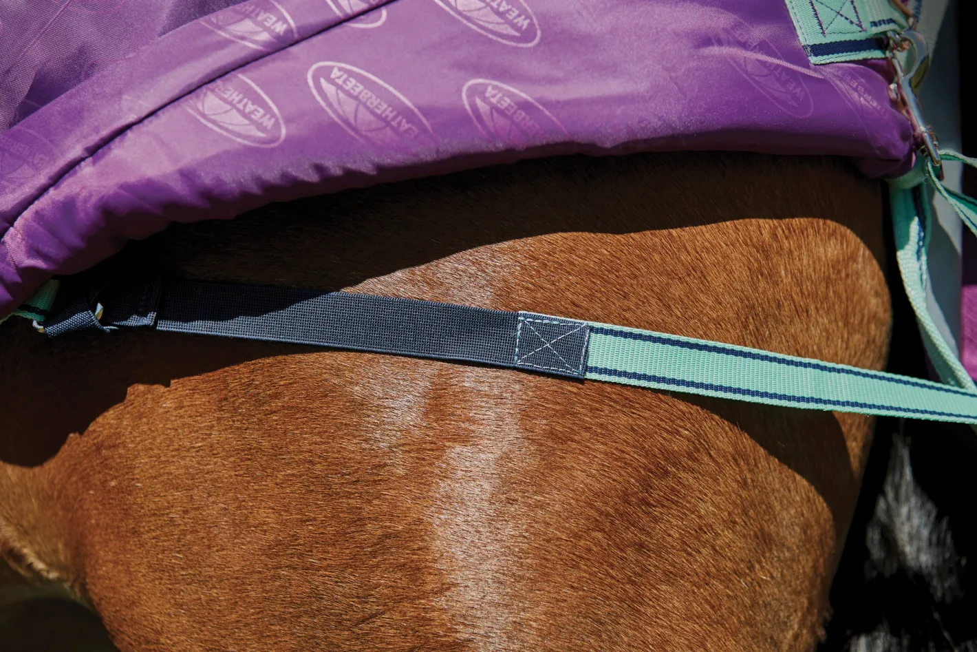 WEATHERBEETA ® Pony ComFiTec™ Premier Free II Standard Neck Lite Turnout