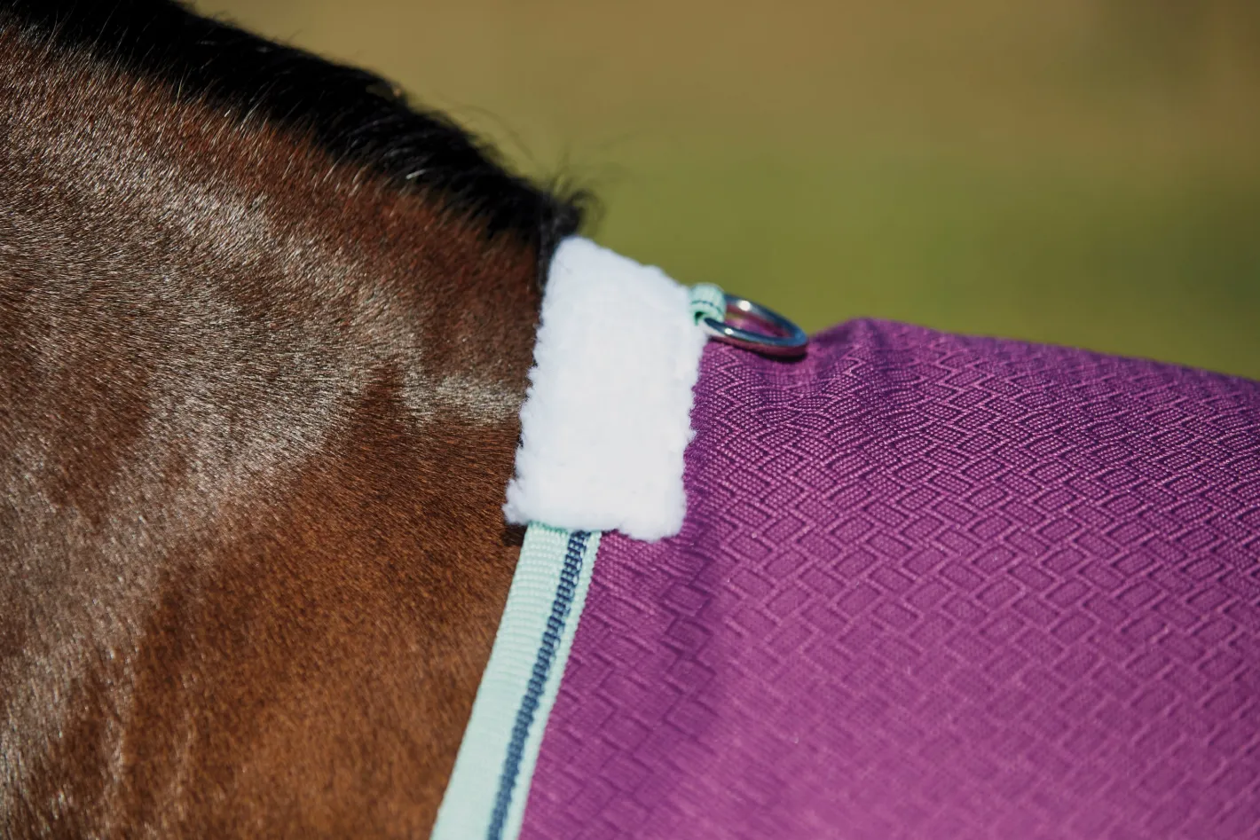 WEATHERBEETA ® Pony ComFiTec™ Premier Free II Standard Neck Lite Turnout