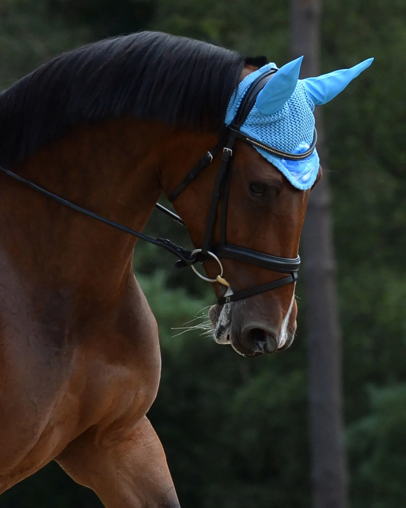 WEATHERBEETA ® Prime Marble Ear Bonnet