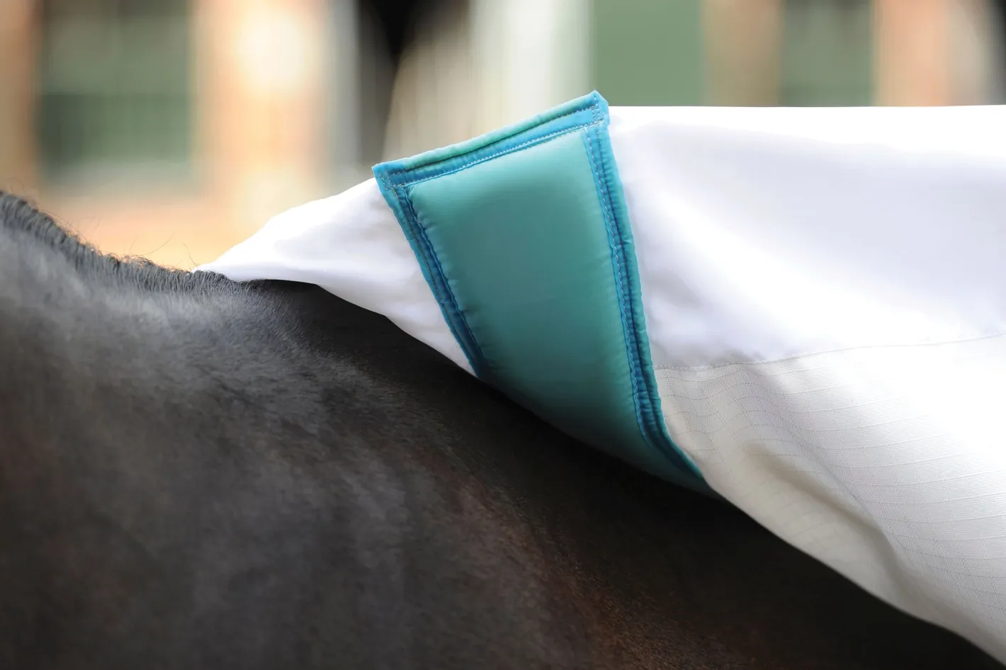 WEATHERBEETA ® Sweet Itch Shield with Combo Neck