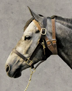 WEAVER LEATHER ® Miracle Collar®