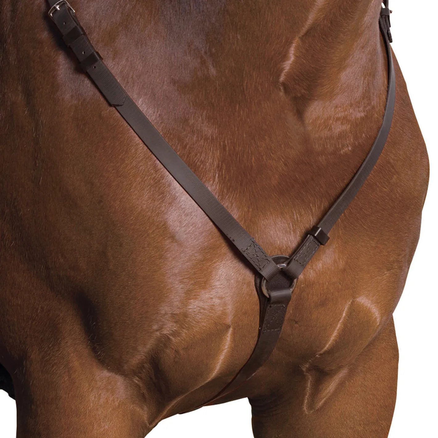 SADDLERY BRANDS INTL Wintec Breastplate