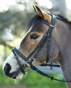 SADDLERY BRANDS INTL Wintec Bridle with Flash
