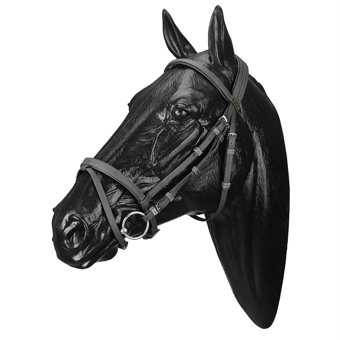 SADDLERY BRANDS INTL Wintec Bridle with Flash