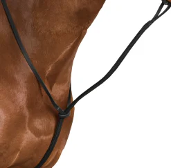 SADDLERY BRANDS INTL Wintec Standing Martingale