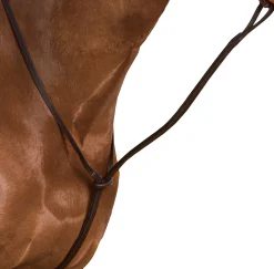 SADDLERY BRANDS INTL Wintec Standing Martingale