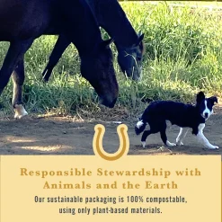 WITHERS & WITHERS Sugar-Free Cinnamon Nutra-Treats for Horses