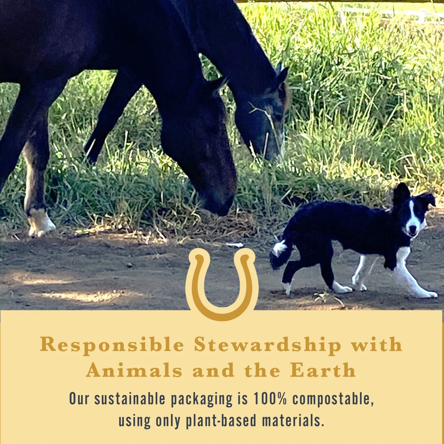 WITHERS & WITHERS Sugar-Free Cinnamon Nutra-Treats for Horses