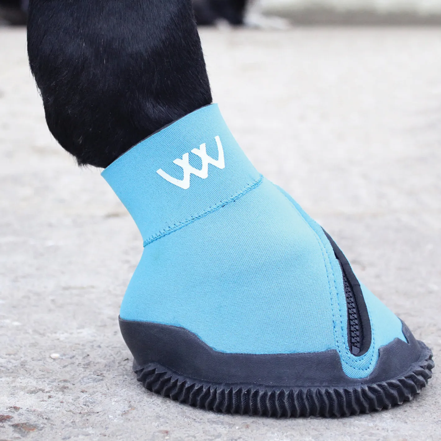 TOKLAT ORIGINALS Woof Wear Medical Hoof Boot